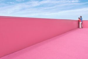 Pink Roof